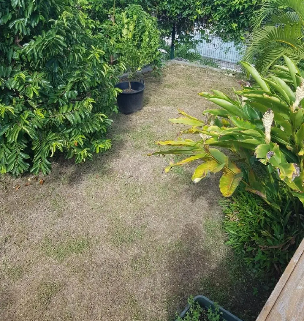 Studio Avec Piscine, A 3 Minutes A Pied Des Plages Sainte-Anne