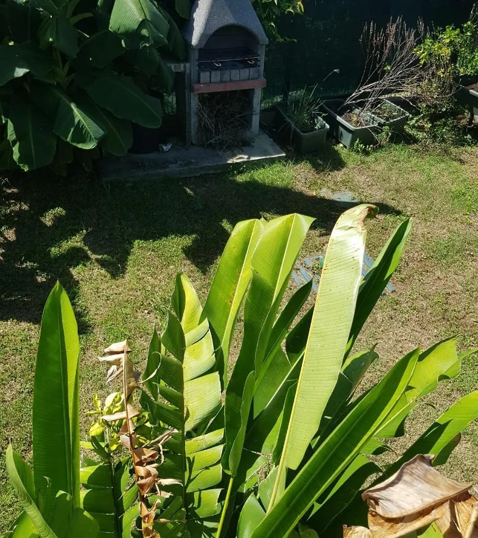 Appartement Studio Avec Piscine, A 3 Minutes A Pied Des Plages Sainte-Anne
